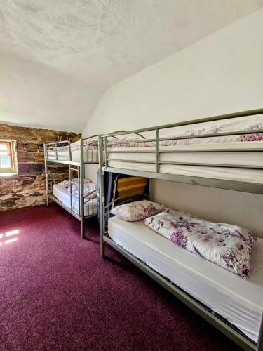 Old Mill Holiday Hostel in Westport