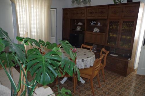 Apartment Mili - 50m from beach - image 13