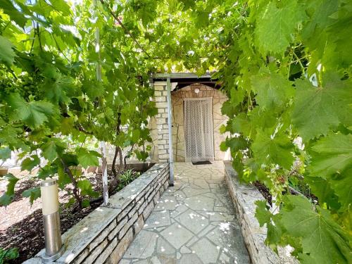 Apartments Mihaela - sea view - image 14