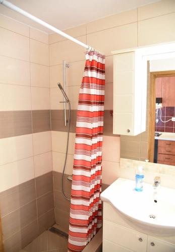Two-Bedroom Apartment Standard image 1