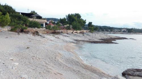 Apartments Neva - 150m from sea - main image