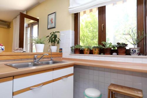 One-Bedroom Apartment image 10