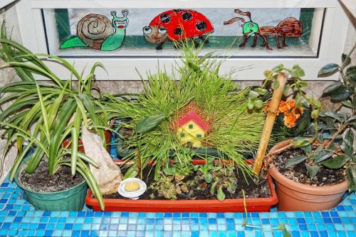 Apartment Happy- in the center - image 10