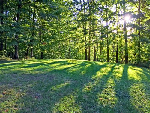 The Vermont Cabin - Large Home Sleeps 20 - Hot tub, views and location close to ski resort! The Vermont Cabin - Large Home Sleeps 20 - Hot tub, views and location close to ski resort!