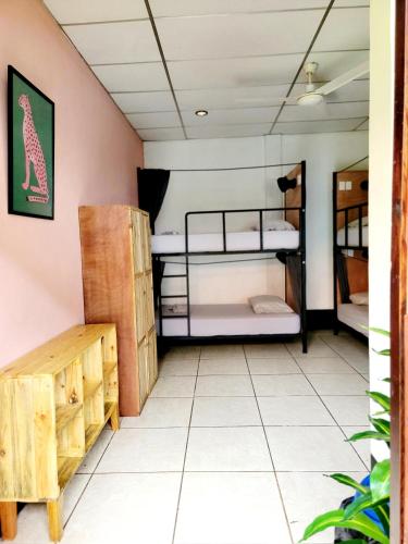 Poco a Poco Hostel in 莱昂
