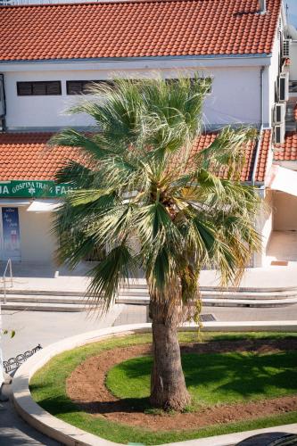 Apartment with Sea View image 3