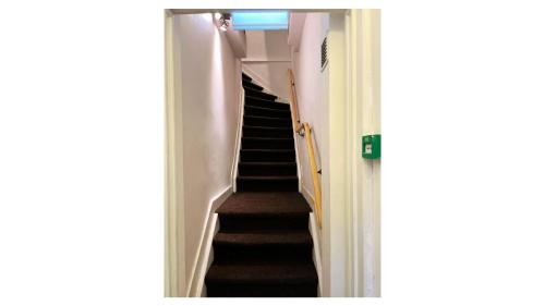 Hotel Plantage - image 9