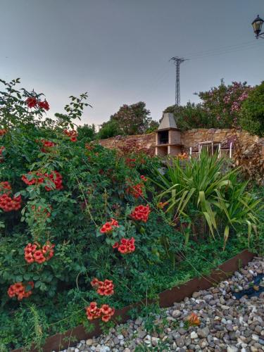 apartamentos turisticos la gitanilla in Los Navalucillos