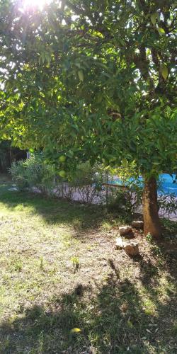 Kert, Huerta Rocio in Linares De La Sierra