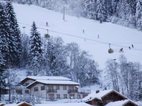 Ferienhaus Oberberg Flachau