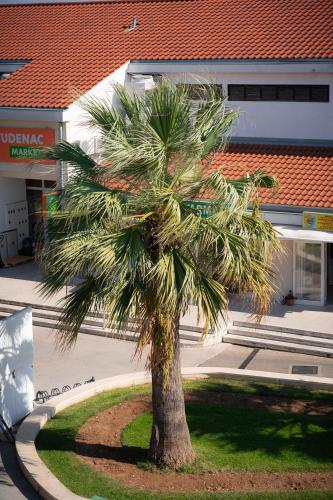 Superior Apartment image 1