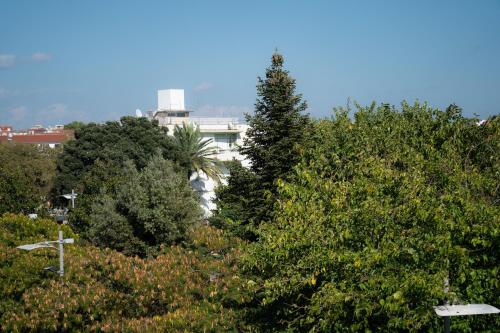 Superior Apartment image 2