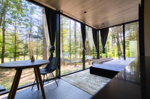 . The Haüs Windham - Spacious Suites, Hot Tub, Mountain Views!