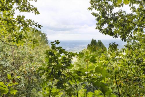 Bearway to Heaven, Sevierville (foto 4)