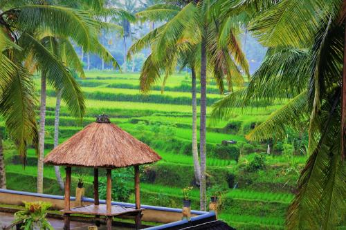 Junjungan Suite - image 5