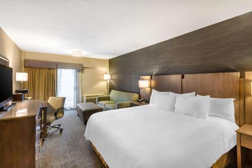 Best Western Plus Cotton Tree Inn - image 10