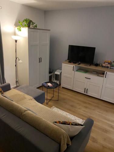 Apartament Czytelnia - parking gratis