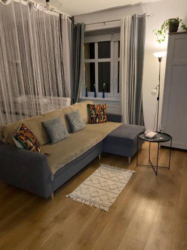 Apartament Czytelnia - parking gratis