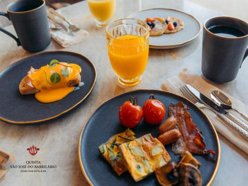 Barrilario Douro Wine Hotel e Spa - Quinta São Jose do Barrilario