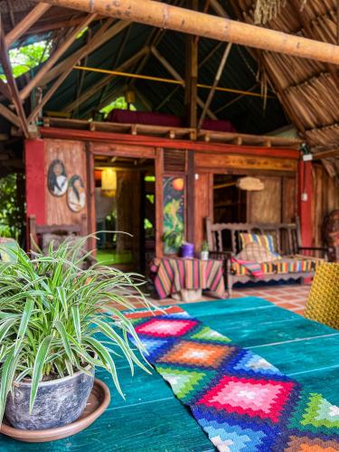 Ave de Montaña Cabañas (Ave de Montana Cabanas) in Калабазо