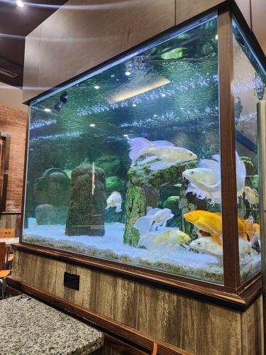 Restaurant, Hotel Sebas 202 in Caracas