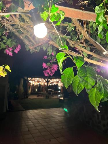 Dārzs, La casita de CristAl in Puerto Rico