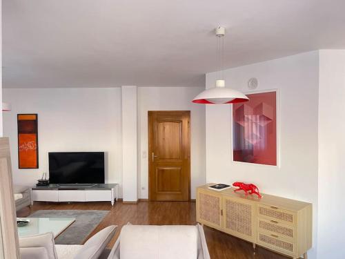 Spacious apartment in Prishtina