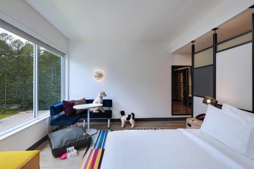 Dog Lover's, Guest room, 1 King