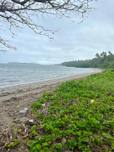 Stylish Farm Flat Jasmeeruls Bayt Tuvurara Savusavu in ドレケッティ