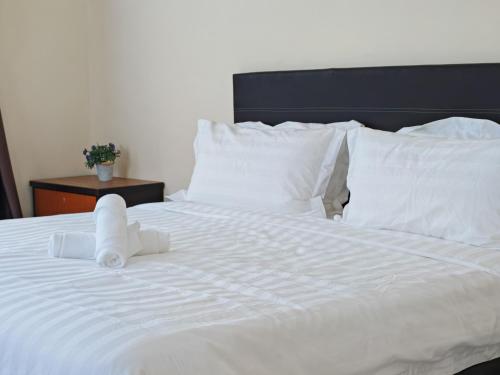 Riverside Landed House 河景湾 Riverside Landed House 河景湾