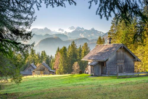 Surrounding environment, Metzgerwirt Vieh Heli in Bad Goisern