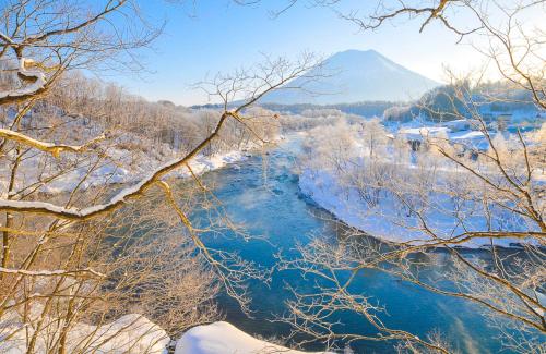 スポーツ/アクティビティ