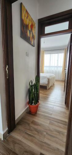 The Peak Ruaka in Ruaka