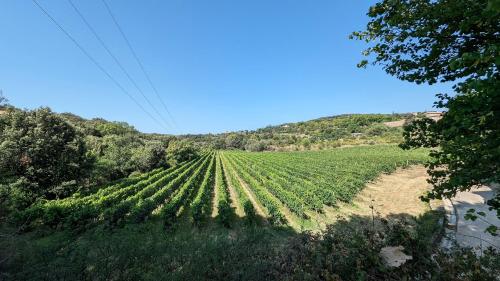 Skats, LA GALANTE in Faugeres