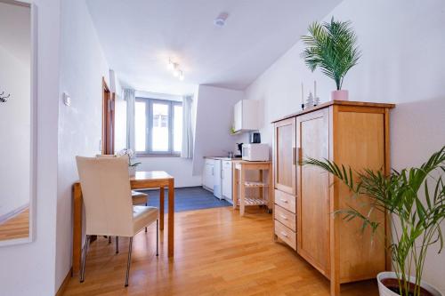 Altstadtloft am Martinstor - Apartment - Freiburg im Breisgau