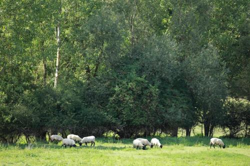 Auberge du Parc in Baudricourt
