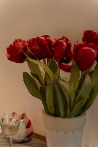 Ospitaci - Via Cairoli