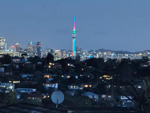 Stylish Family Retreat in Hillcrest Spa 4 Bedroom and Playroom, Auckland (photo 7)