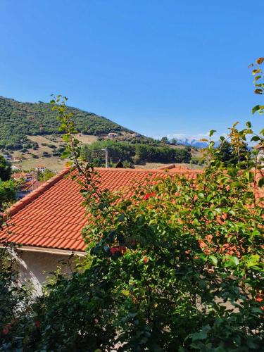 Ξενώνας Ελένη, Kalavrita (foto 11)