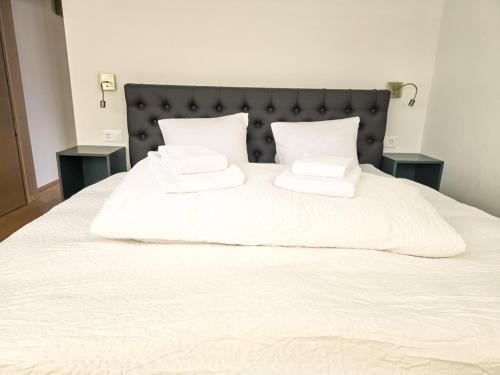 Eiger Panoramica - Aare Jungfrau AG, Grindelwald