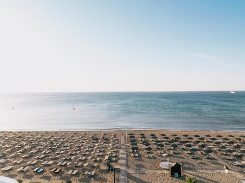 Calypso Beach - image 14
