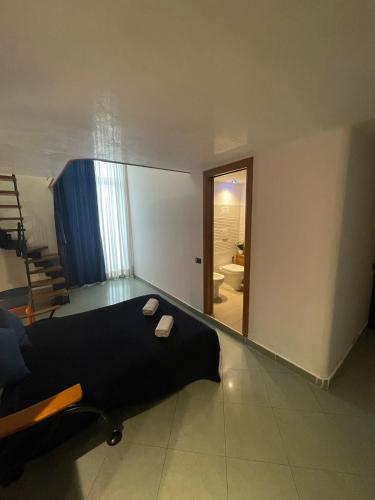 Duplex Studio image 3
