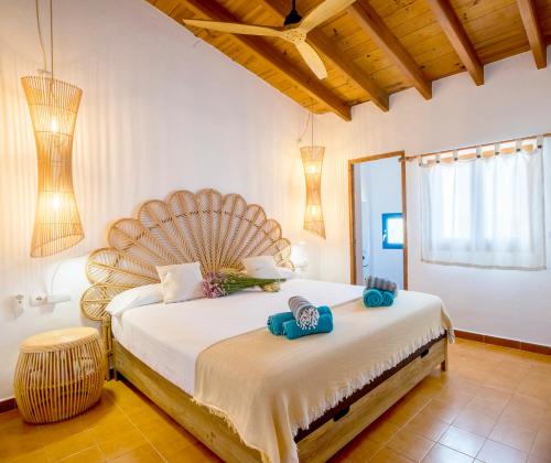 Can Toni Blay Can Toni Blay