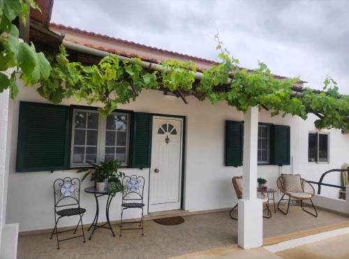 Casa Dos Olivais - Tomar gîte à louer Assamaça