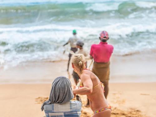 Frangipani Beach Villas & Restaurant