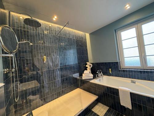 Château des Avenieres