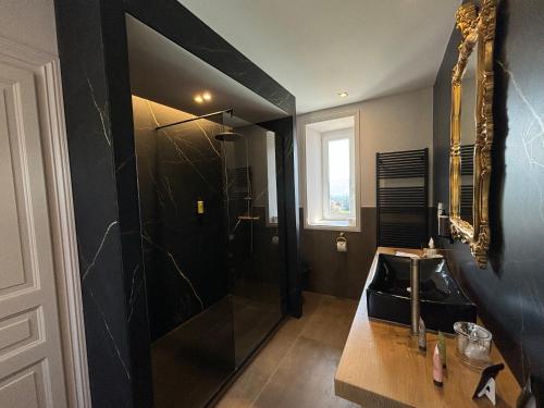 Château des Avenieres