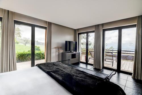 Château des Avenieres