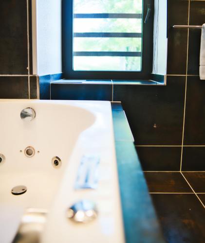 Château des Avenieres