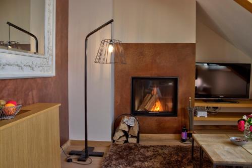 Château des Avenieres